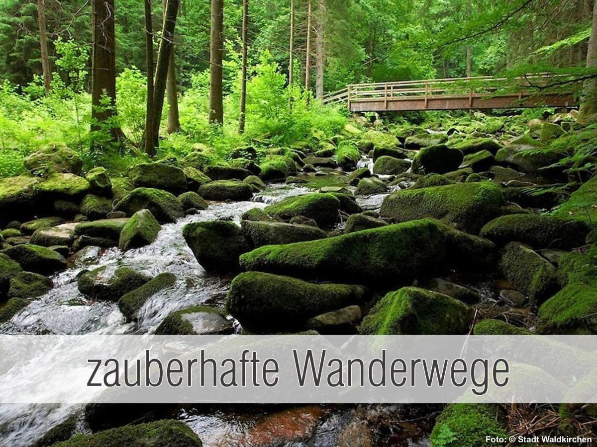 Huette41: Ganze Huette Nah Am See Mit Privatem Whirlpool, Sauna. Umzaeunt. 瓦尔德基兴 外观 照片
