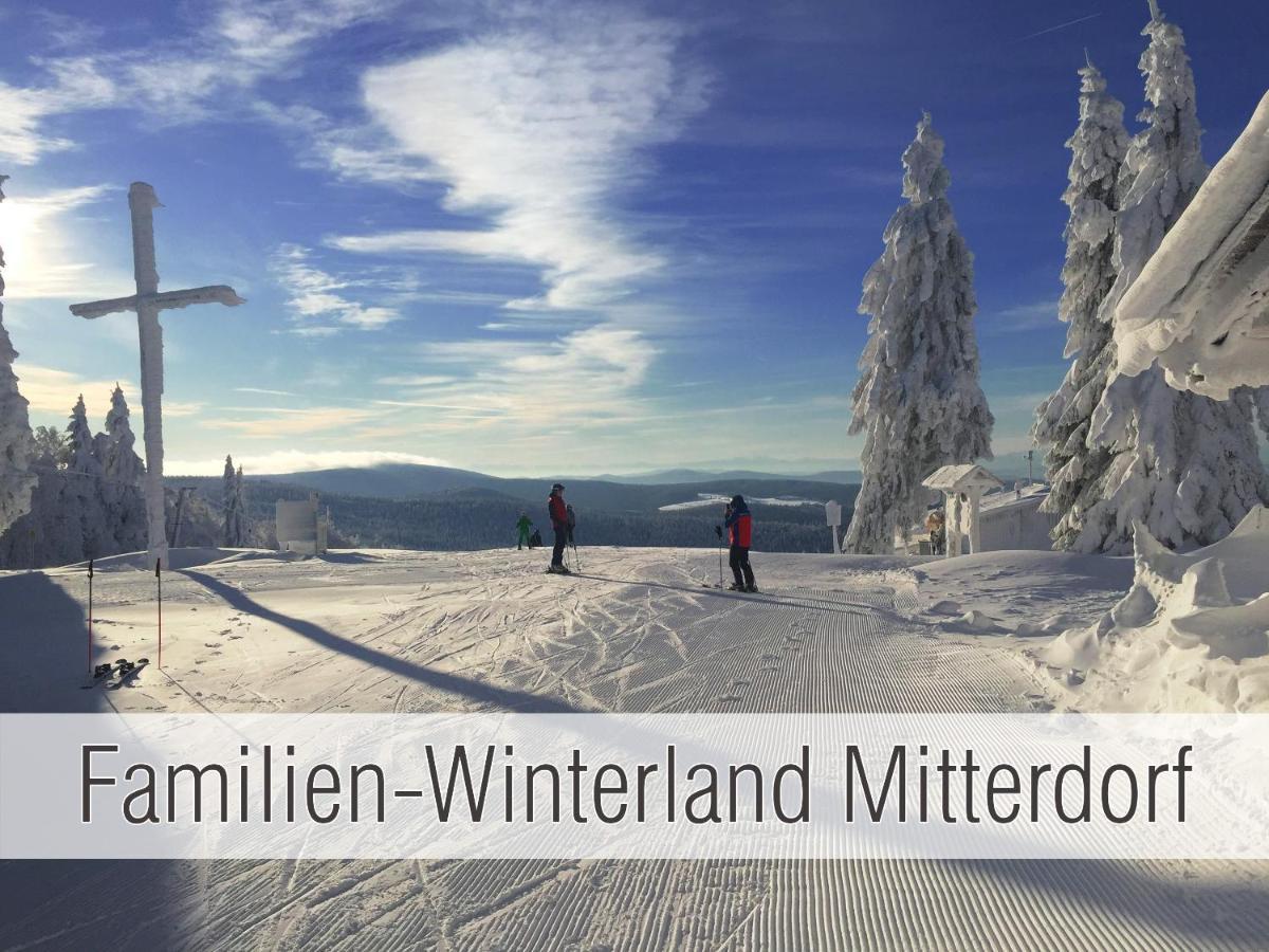 Huette41: Ganze Huette Nah Am See Mit Privatem Whirlpool, Sauna. Umzaeunt. 瓦尔德基兴 外观 照片